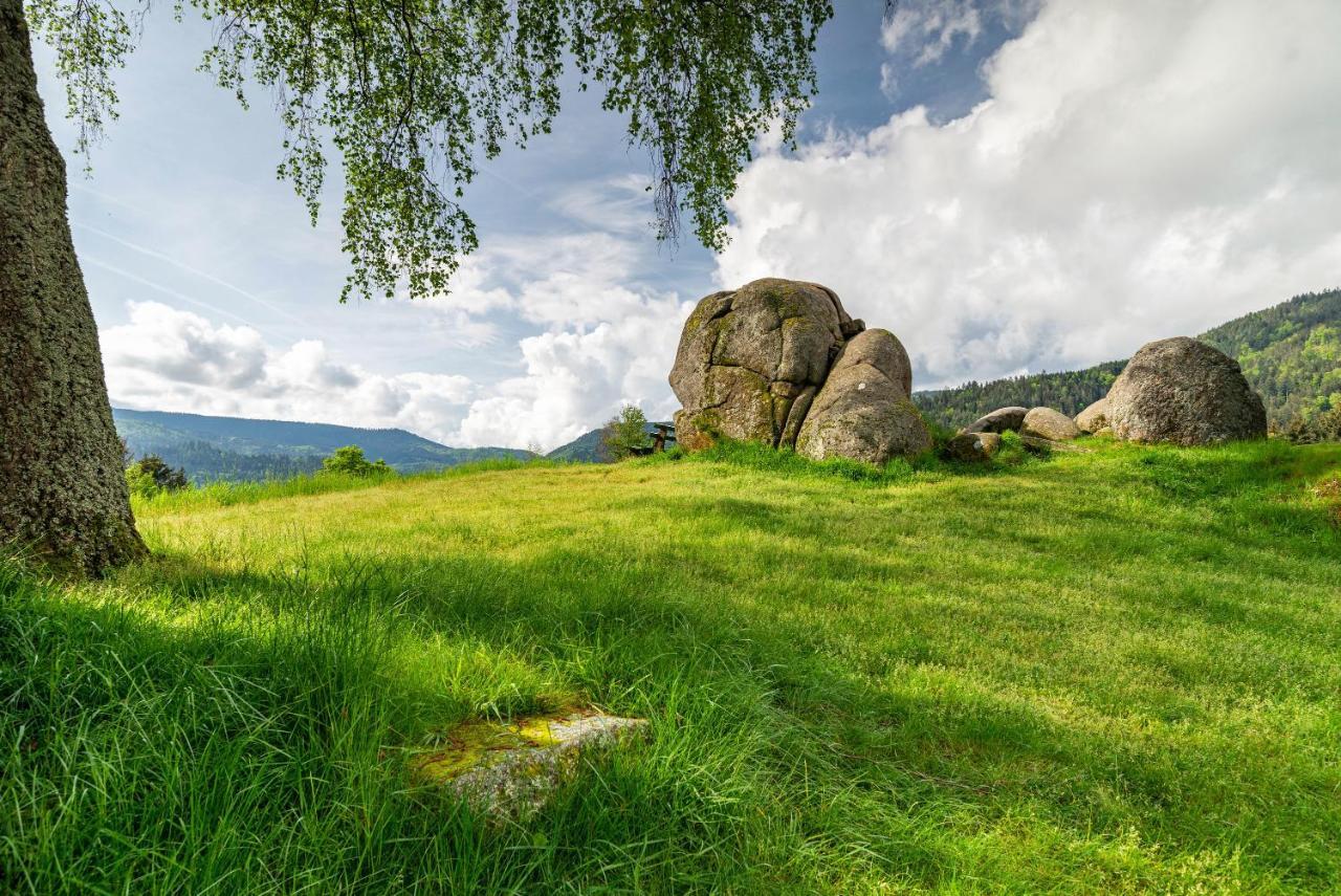 Bergblick Leilighet Forbach Eksteriør bilde